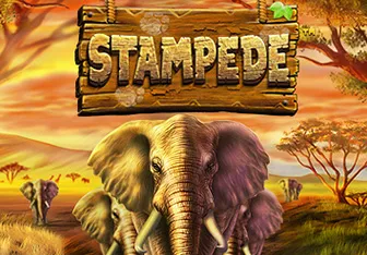 Stampede