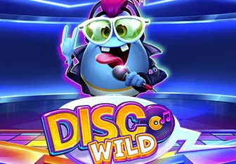 Disco Wild